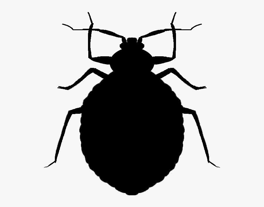Bugs At Getdrawings Com - Bed Bugs Vector Png, Transparent Clipart