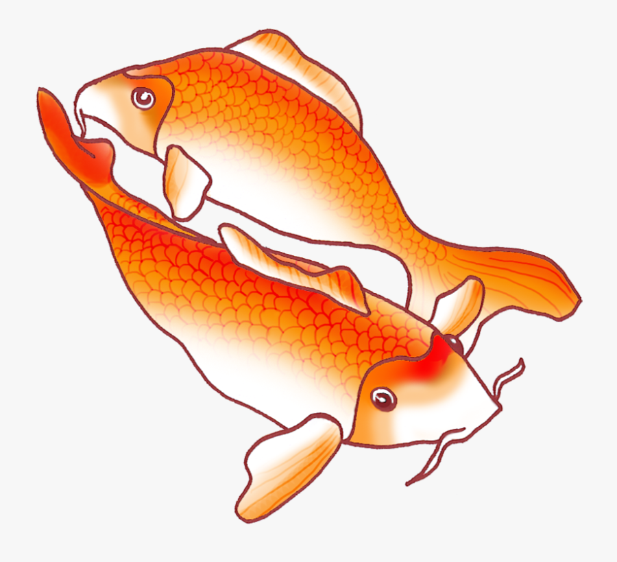 Clip Art Two Orange Drawing In - Koi Fish Orange Drawing, Transparent Clipart