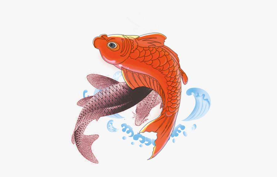 Clip Art Koi Carps Fish , Free Transparent Clipart - ClipartKey