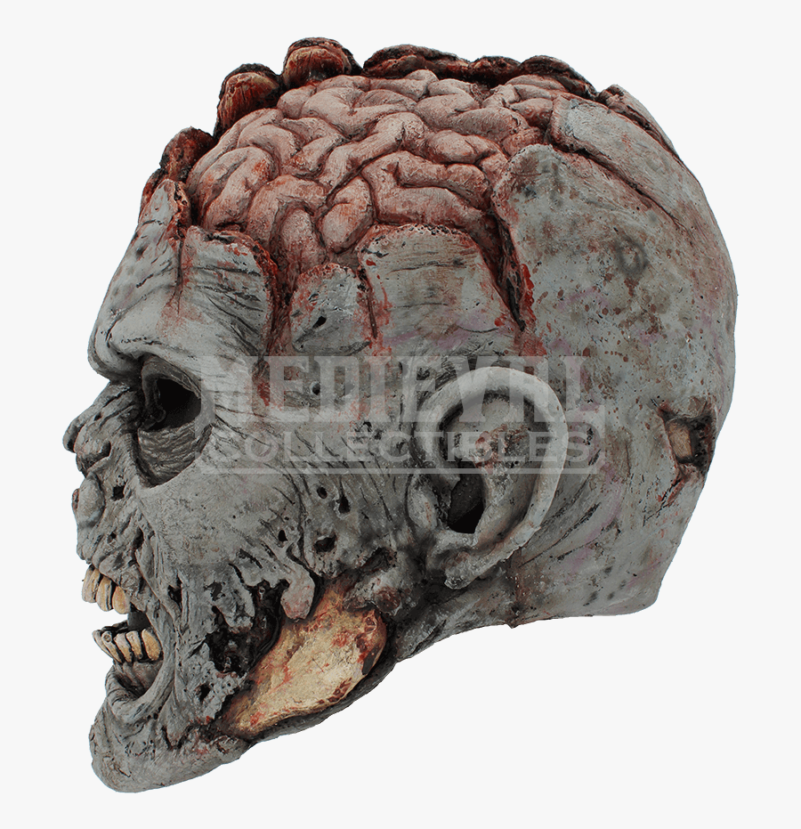 Skull Brain Mask Head Grey Matter - Clip Art, Transparent Clipart