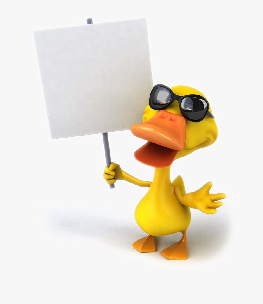 Pictures Photography Drawing Mallard Duck Cartoon Stock - Signboard Stock Big Signboard Cartoon Duck Holding, Transparent Clipart