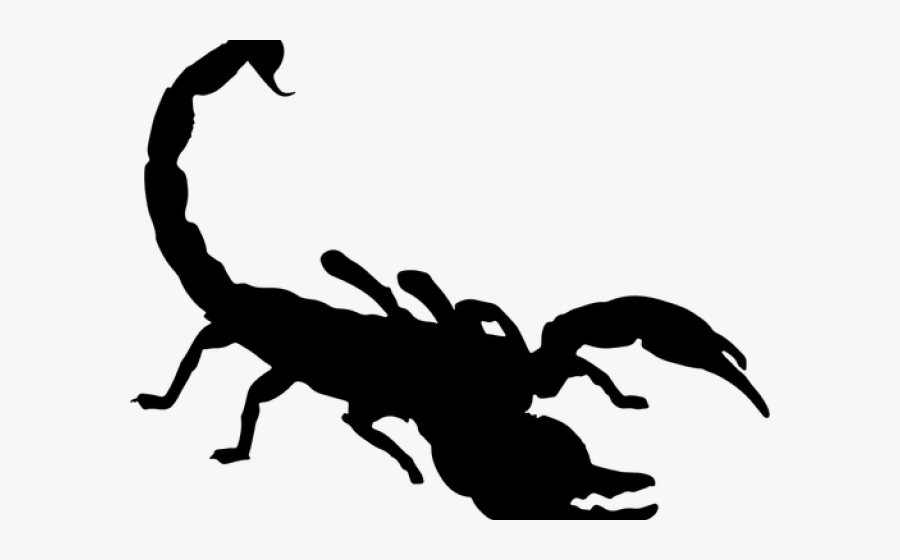 Scorpion Clipart, Transparent Clipart