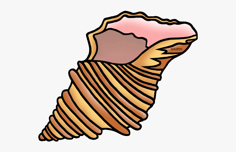 Massachusetts State Shell - Free Whelk Clip Art, Transparent Clipart