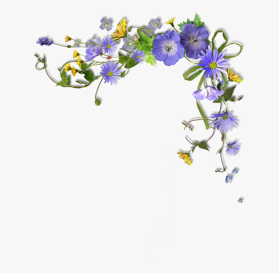 Фотки Flower Border Clipart, Page Borders, Frame Background, - Flower Page Border Transparent, Transparent Clipart