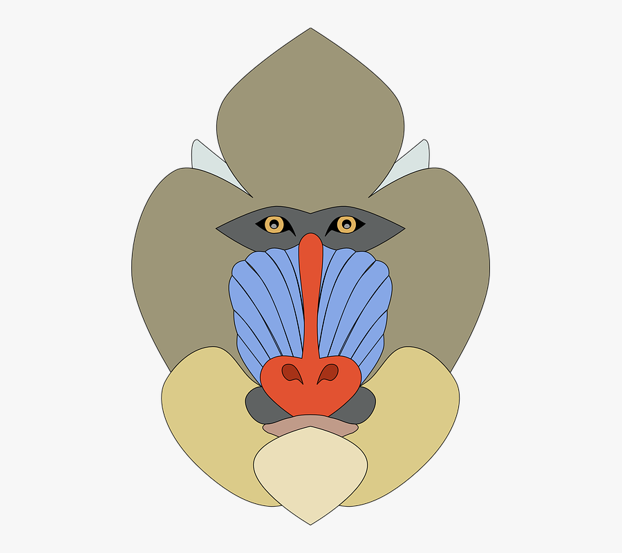 Mandrill, Ape, Monkey, Mandrillus Sphinx, Primate - Cute Mandrill Head Clipart, Transparent Clipart