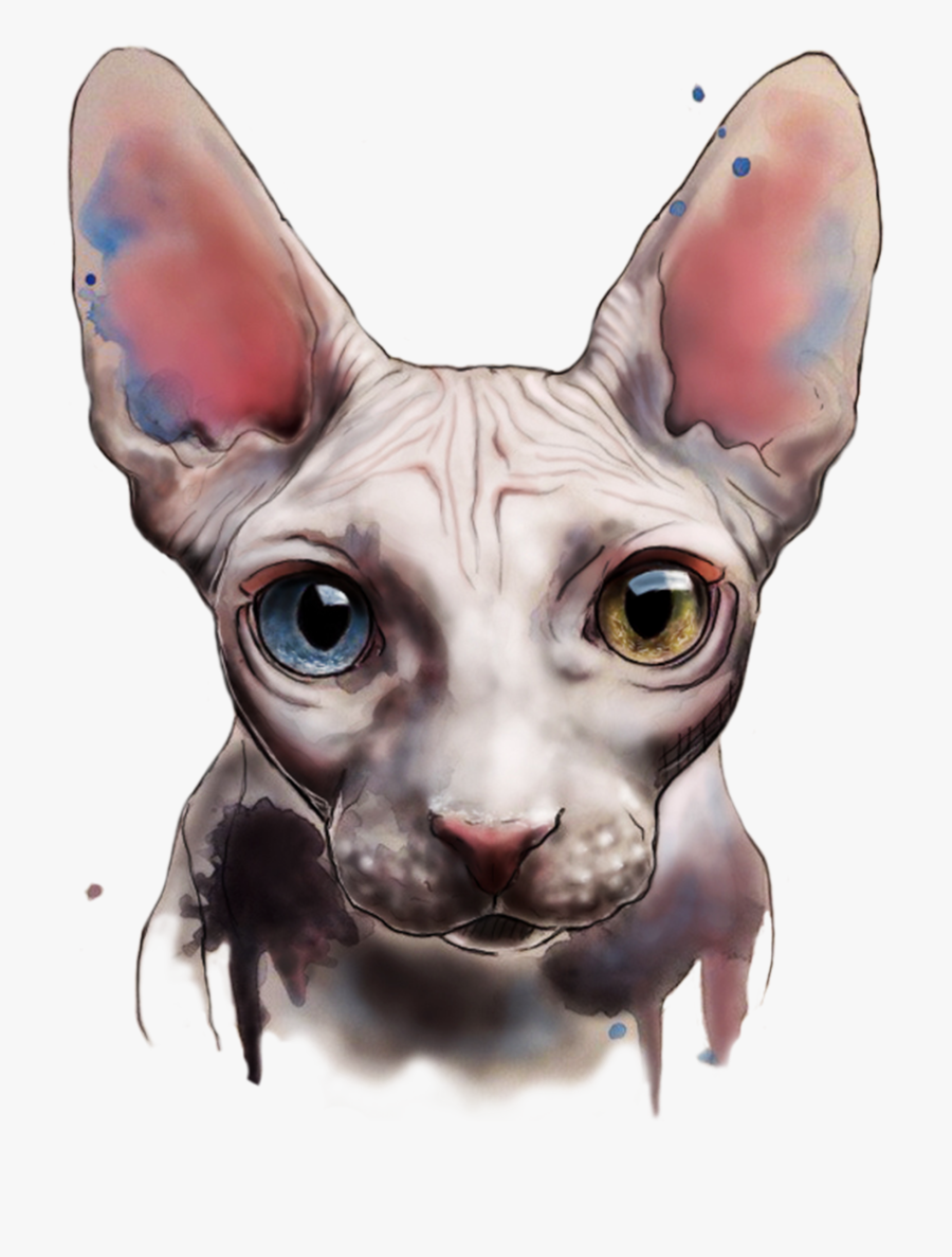 Sphynx Cat Swinx Clipart - Sphynx Cat Digital Painting, Transparent Clipart