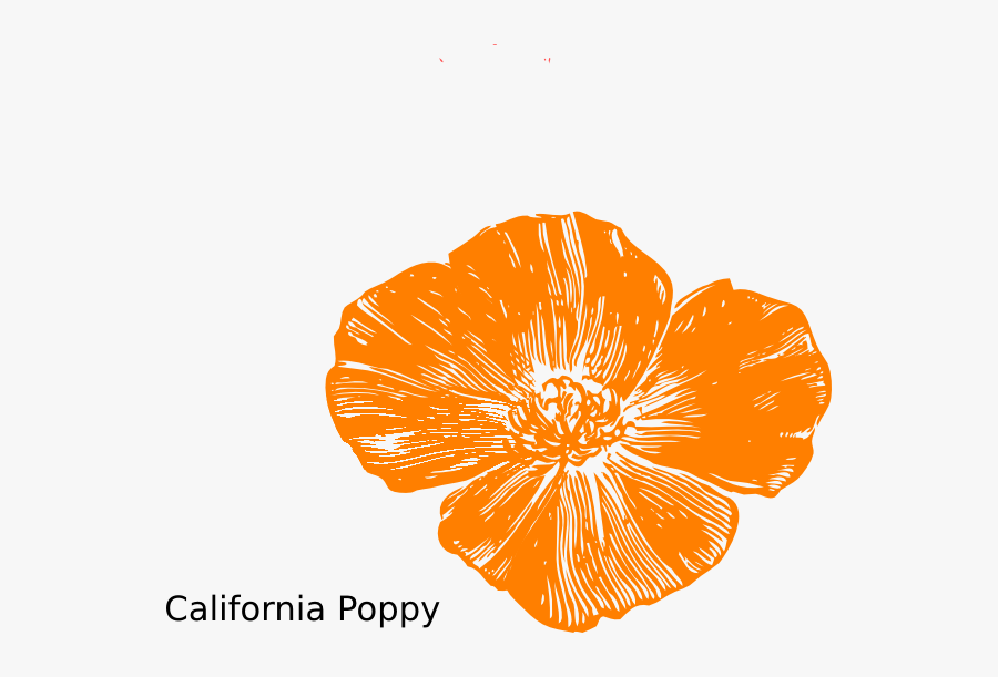 Rad Poppy Clipart - Golden Poppy Clip Art, Transparent Clipart