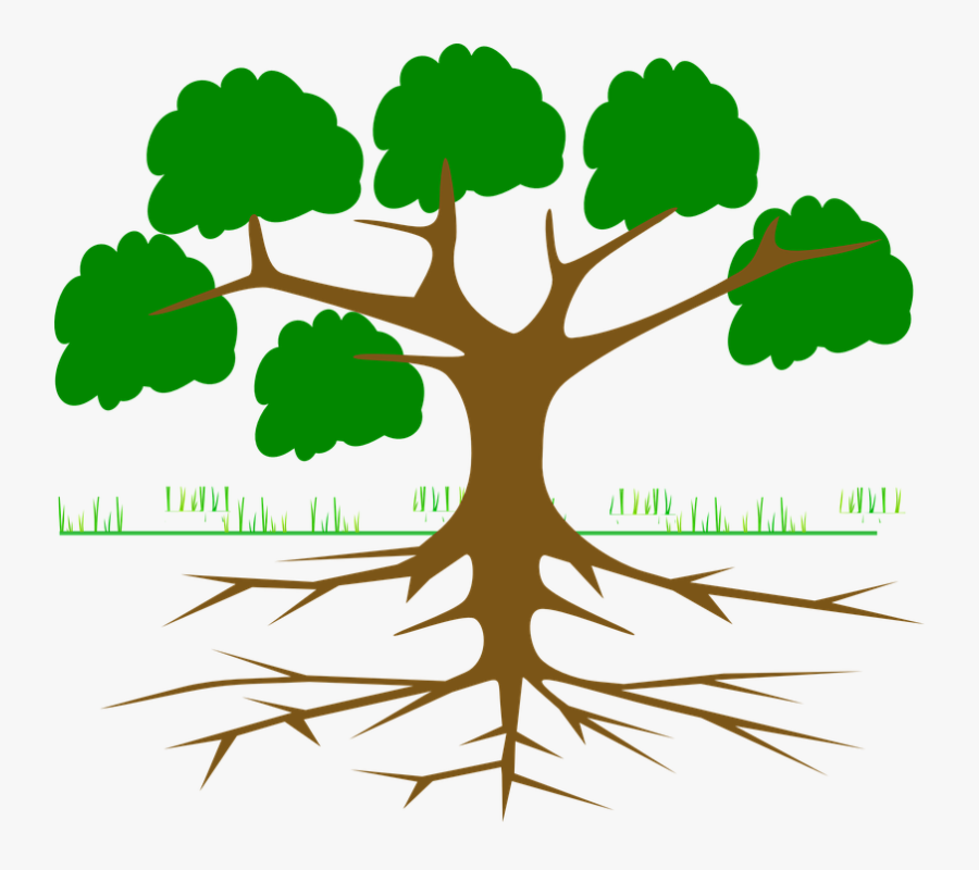 Tree Branches Root - Root Cause Tree Analysis, Transparent Clipart
