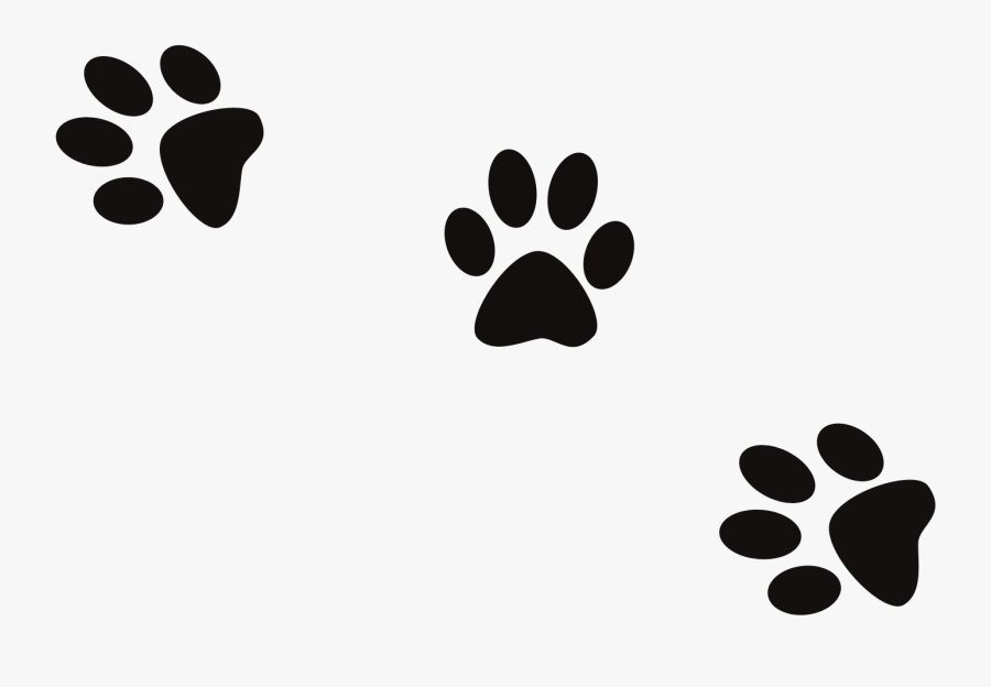 Dog Print Cat Footprint Banner Black And White Files - Transparent Cat Footprint Png, Transparent Clipart