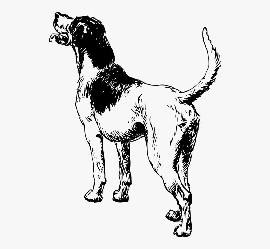 Line Art,tail,paw - Dog Back View Drawing, Transparent Clipart