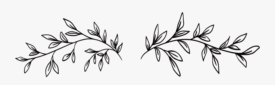 Black And White - Black And White Vine, Transparent Clipart