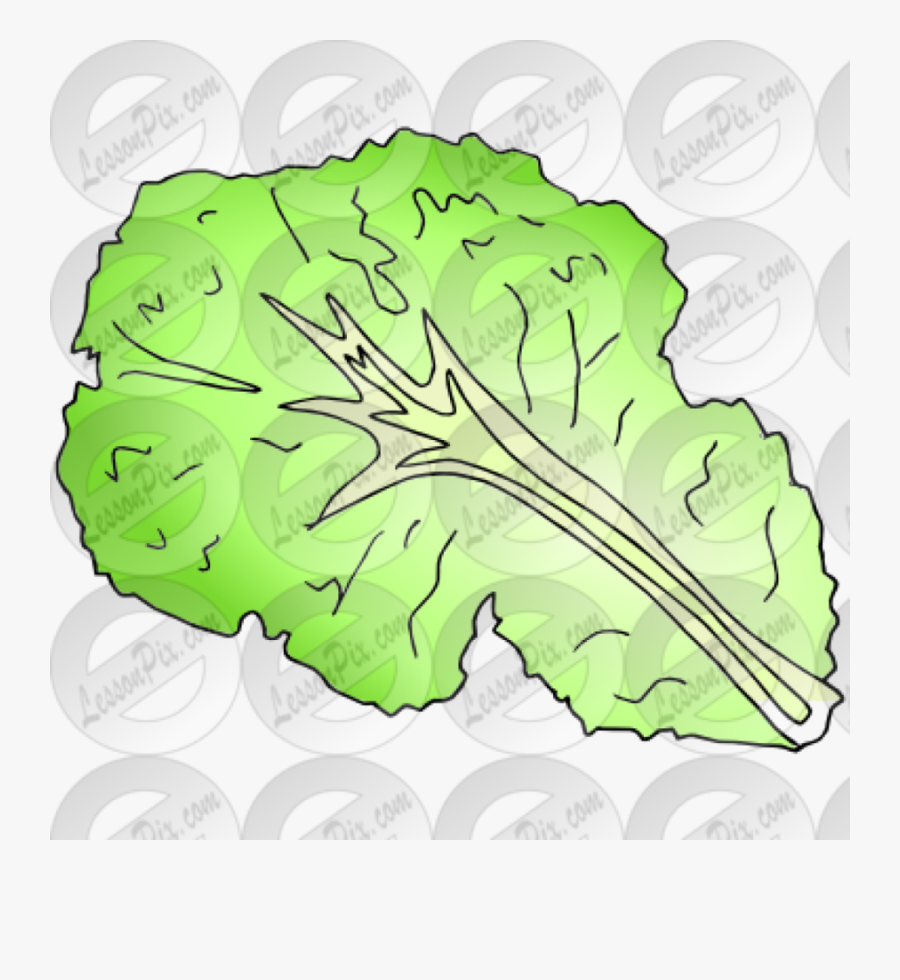 Transparent Lettuce Leaf Clipart - Lettuce Leaf Black And White Clip Art, Transparent Clipart