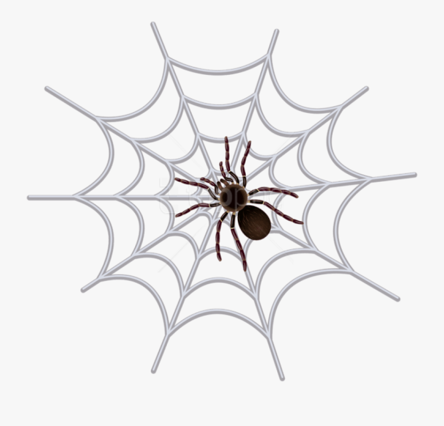 Spider Clipart Charlotte"s Web - Transparent Spider Man Web, Transparent Clipart