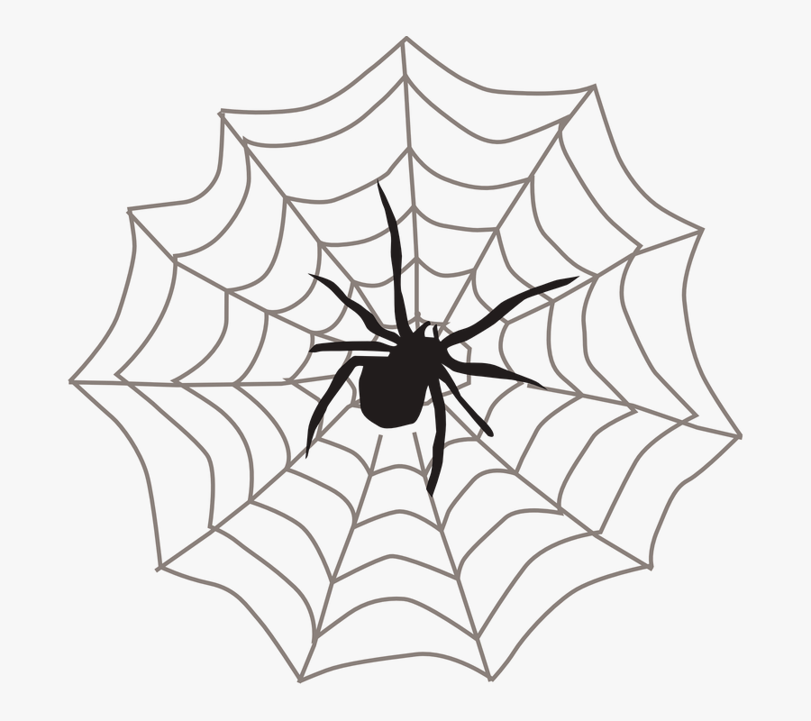 Drawn Spider Web Transparent - Spider On Web Clipart , Free Transparent ...