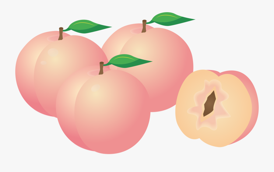 Clipart Peaches - Peach Clip Art, Transparent Clipart