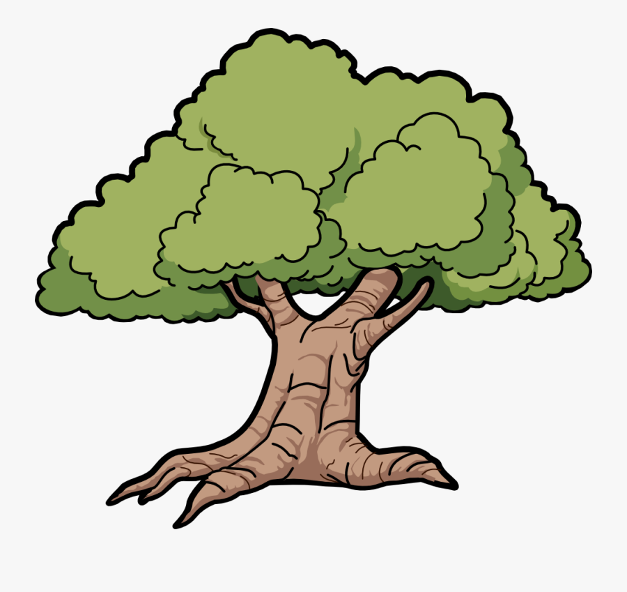 Forest Clipart - Oak Clipart, Transparent Clipart