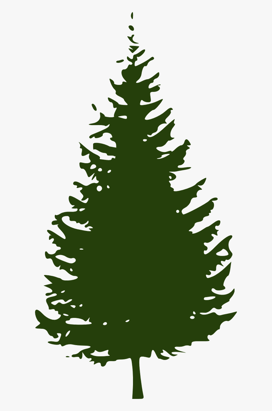 Evergreen Tree Clipart , Free Transparent Clipart - ClipartKey