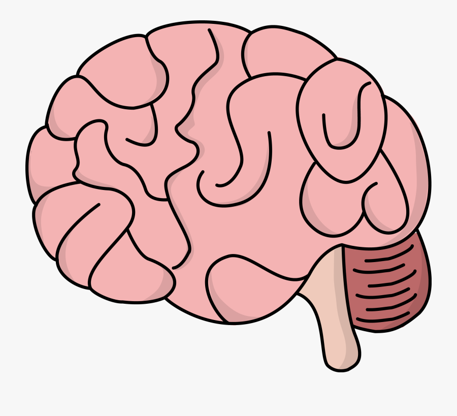 Cartoon Easy Brain Drawing , Free Transparent Clipart - ClipartKey