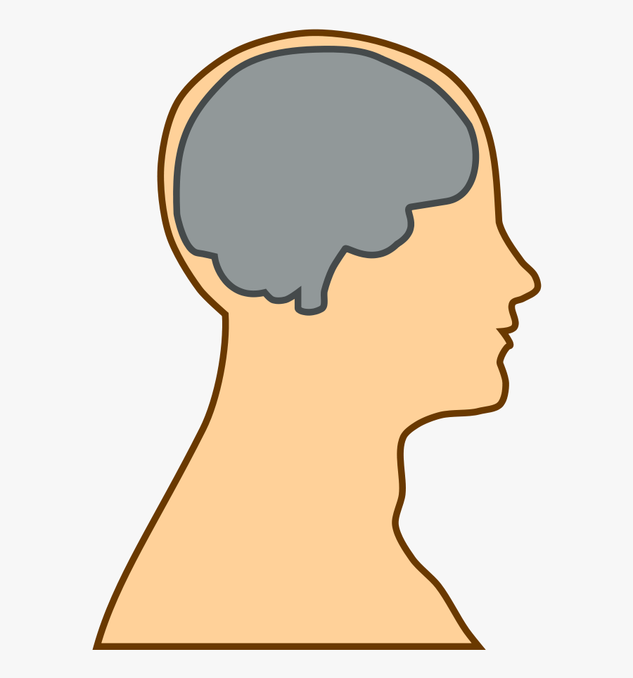 Free Simple Brain Silhouette - Cartoon Head With Brain, Transparent Clipart