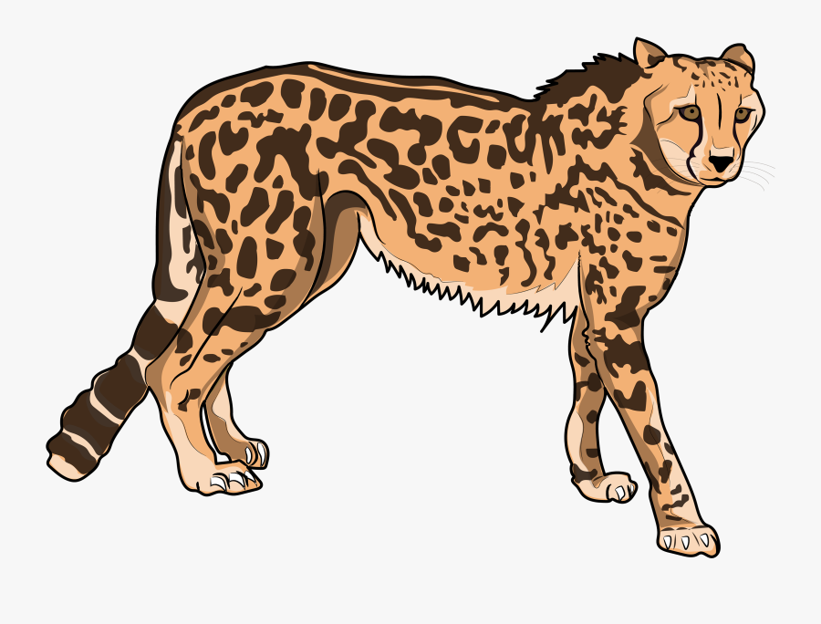 Transparent Zoo Animals Clipart - Cheetah , Free Transparent Clipart ...