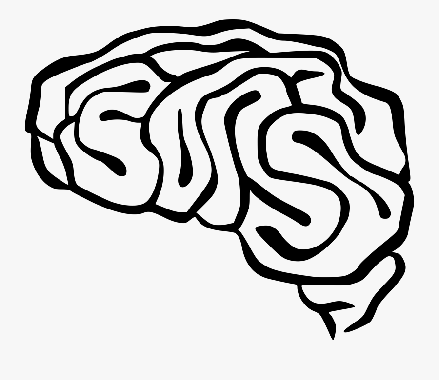 Drawing Of Brain - Simple Brain Clip Art Transparent , Free Transparent ...