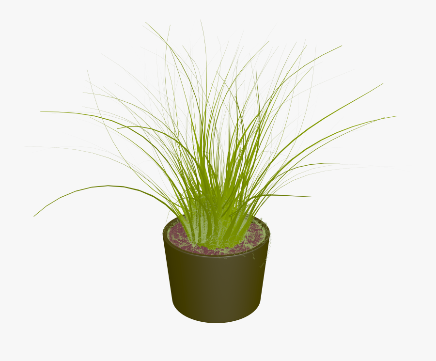 Bush Pot Plant Clipart Png Picture - Potted Green Plants Png, Transparent Clipart