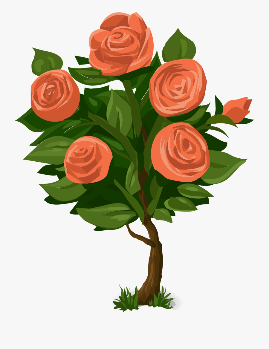 Clip Art Of Plants - Rose Bushes Clip Art, Transparent Clipart