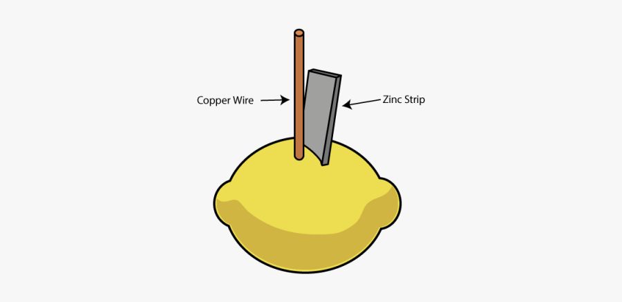 Lemon Copper And Zinc Experiment, Transparent Clipart