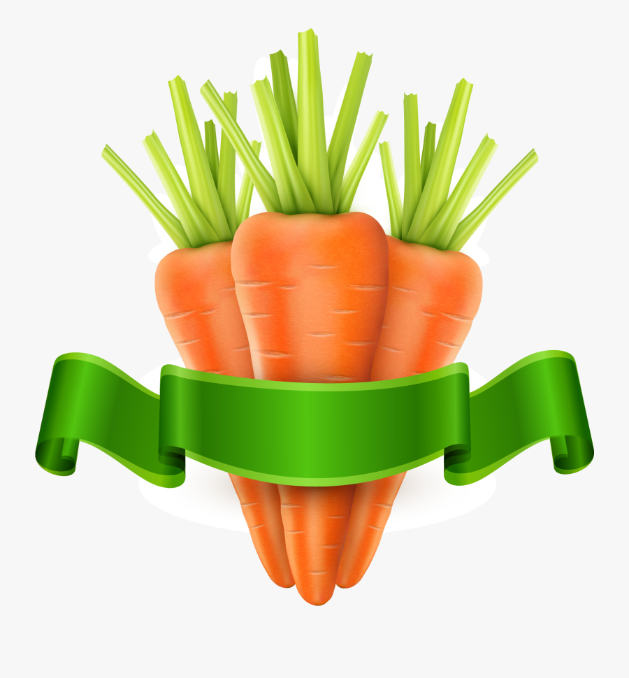 Carrot Vegetable Royalty - Carrot Vector, Transparent Clipart