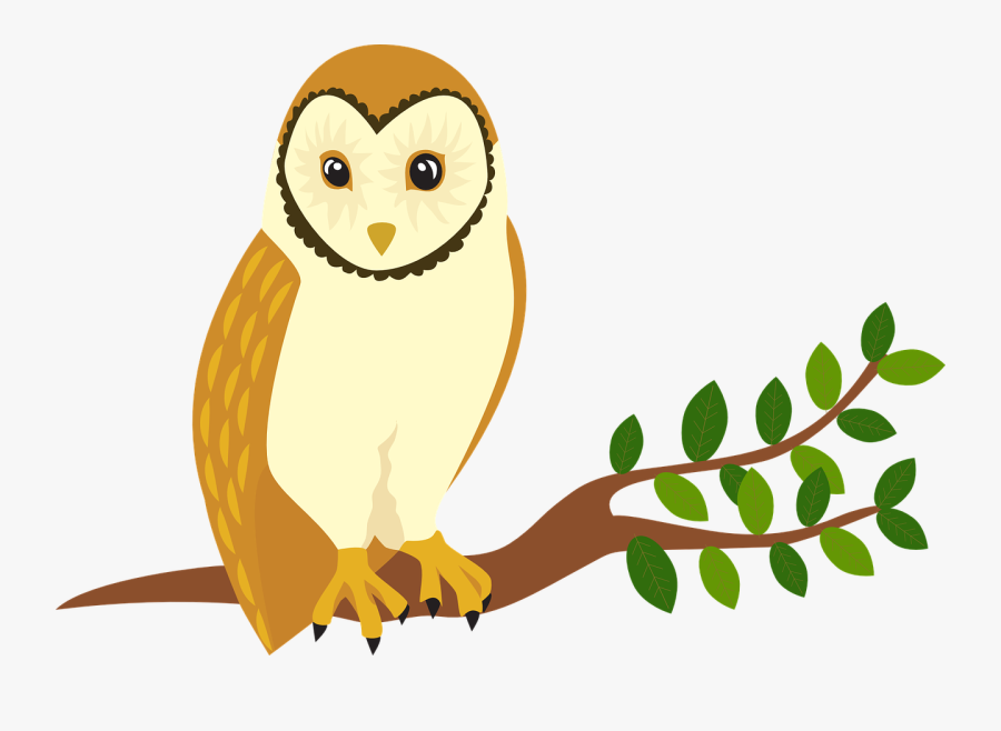 Owl Forest Animal Tree Bird - Birds Of Prey Clipart, Transparent Clipart