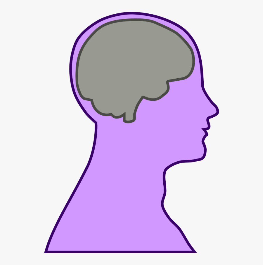 Brain Human Man - Head Outline With Brain, Transparent Clipart