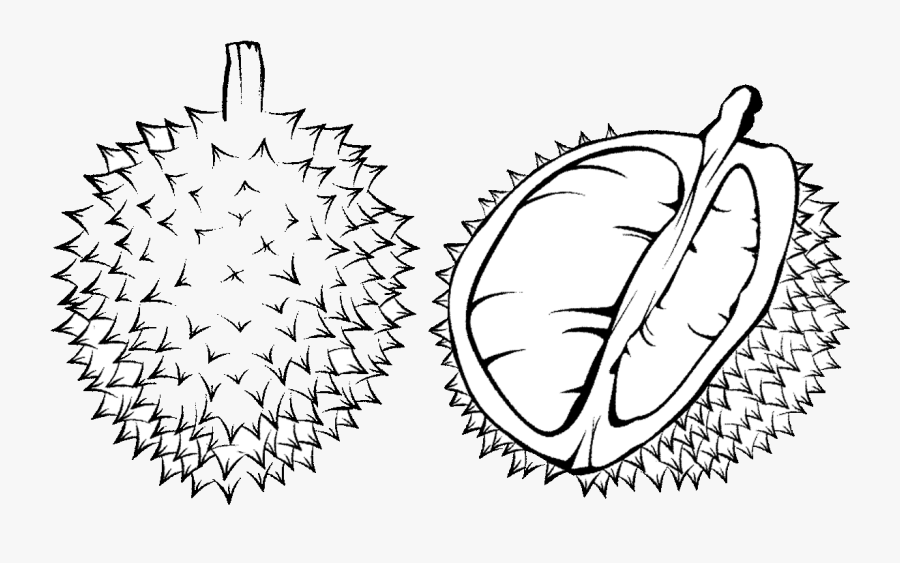 Graphic Library Stock Lemon Clipart Durian Fruit - Durian Black And White, Transparent Clipart