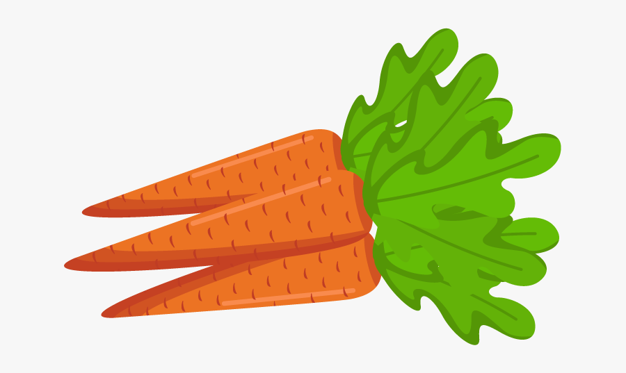 Carrot Png - Transparent Background Carrot Clipart Carrot Png, Transparent Clipart