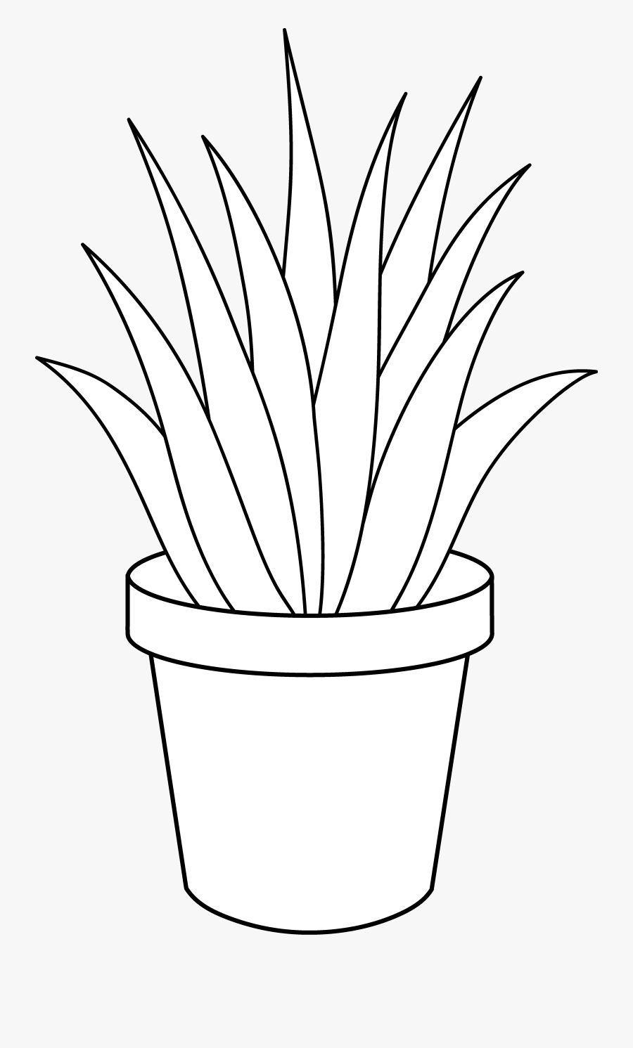 Pot Plant Clipart Baby - Potted Plant Clipart Black And White, Transparent Clipart