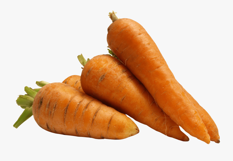Transparent Carrots Clipart - Zanahoria Png, Transparent Clipart