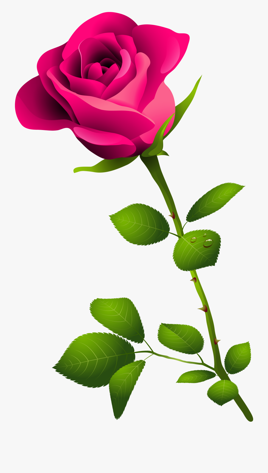 Top 81 Pink Rose Clip Art - Pink Rose With Stem, Transparent Clipart