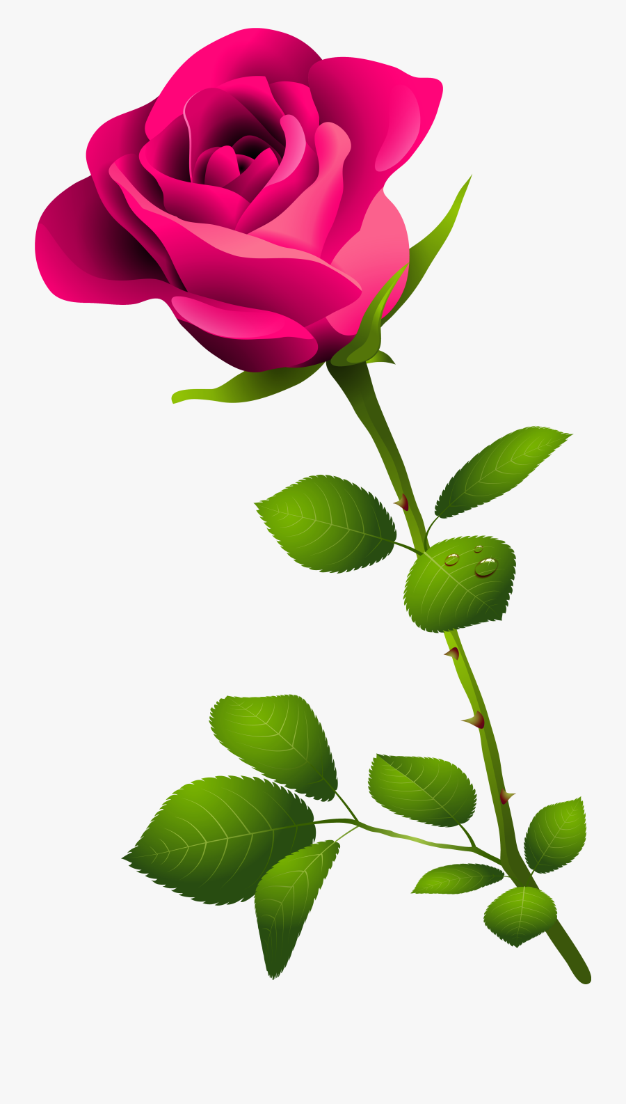 Top 81 Pink Rose Clip Art Pink Rose With Stem Free Transparent