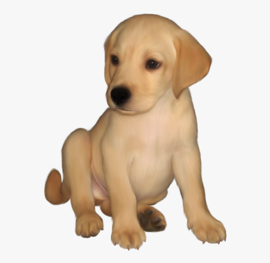 Puppy Clipart Yellow Lab - Golden Retriever Dog Clipart, Transparent Clipart