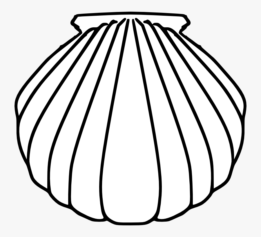 Cliparts For Free Download Seashell Clipart Easy Draw - Baptism Clipart Black And White, Transparent Clipart