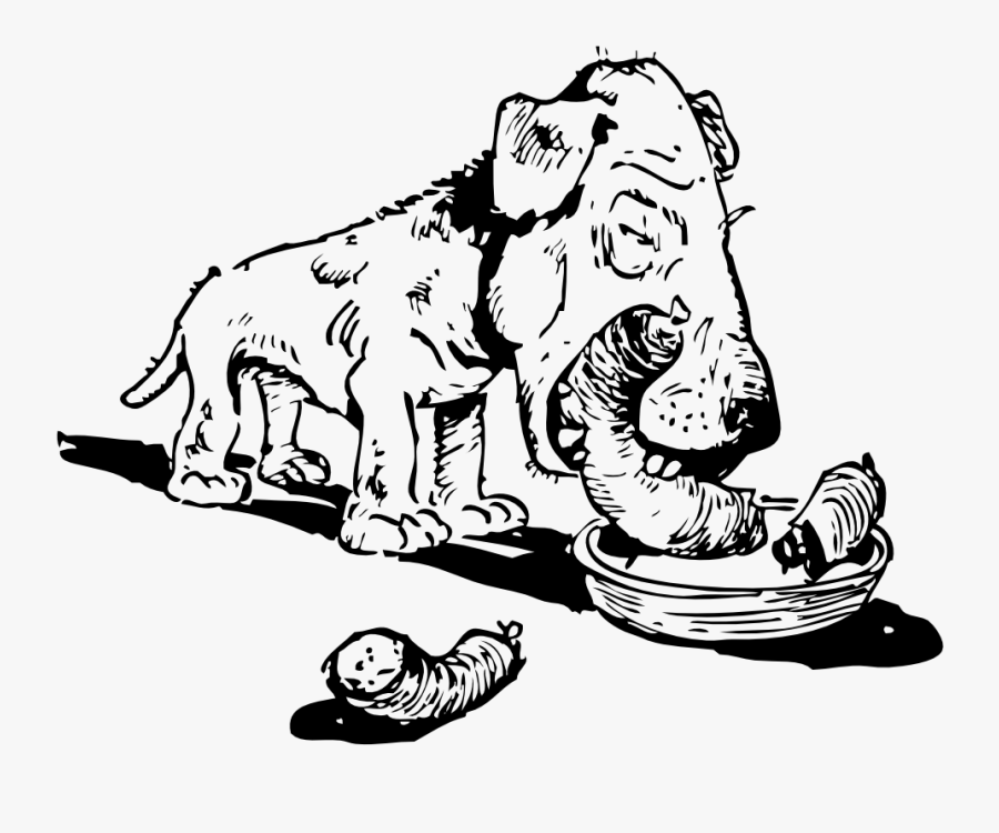 Puppy Labrador Retriever Bowl - Drawing Of A Dog Eating A Cat, Transparent Clipart