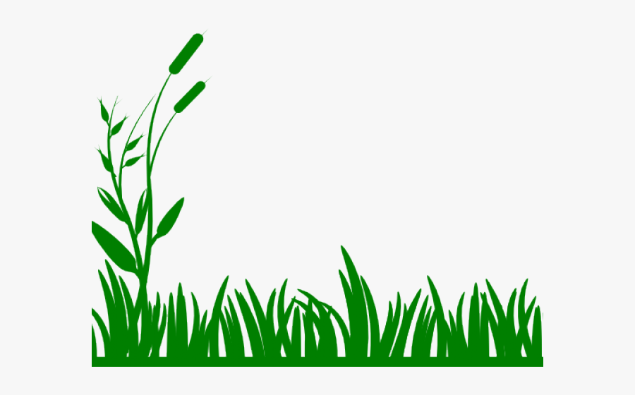 Transparent Swamp Png - Grass Vector Black, Transparent Clipart