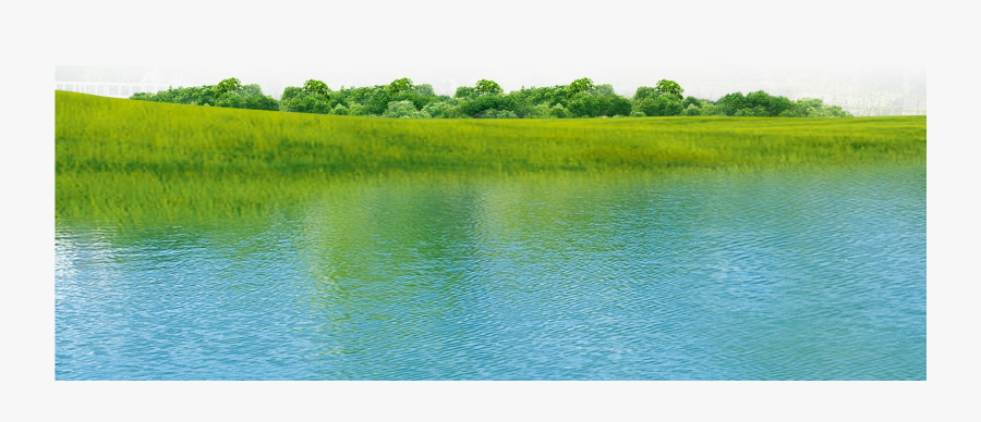 Transparent Polluted River Clipart - Freshwater Marsh, Transparent Clipart