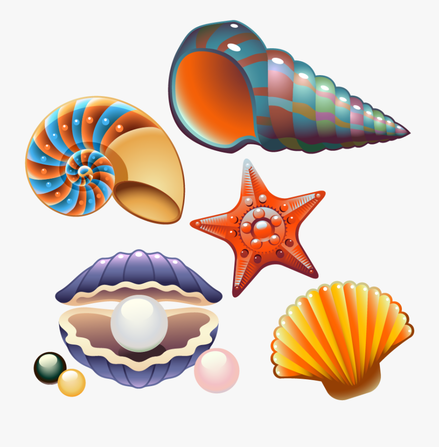 Clam Seashell Nautilidae Clip Art - Cute Seashell Clip Art, Transparent Clipart