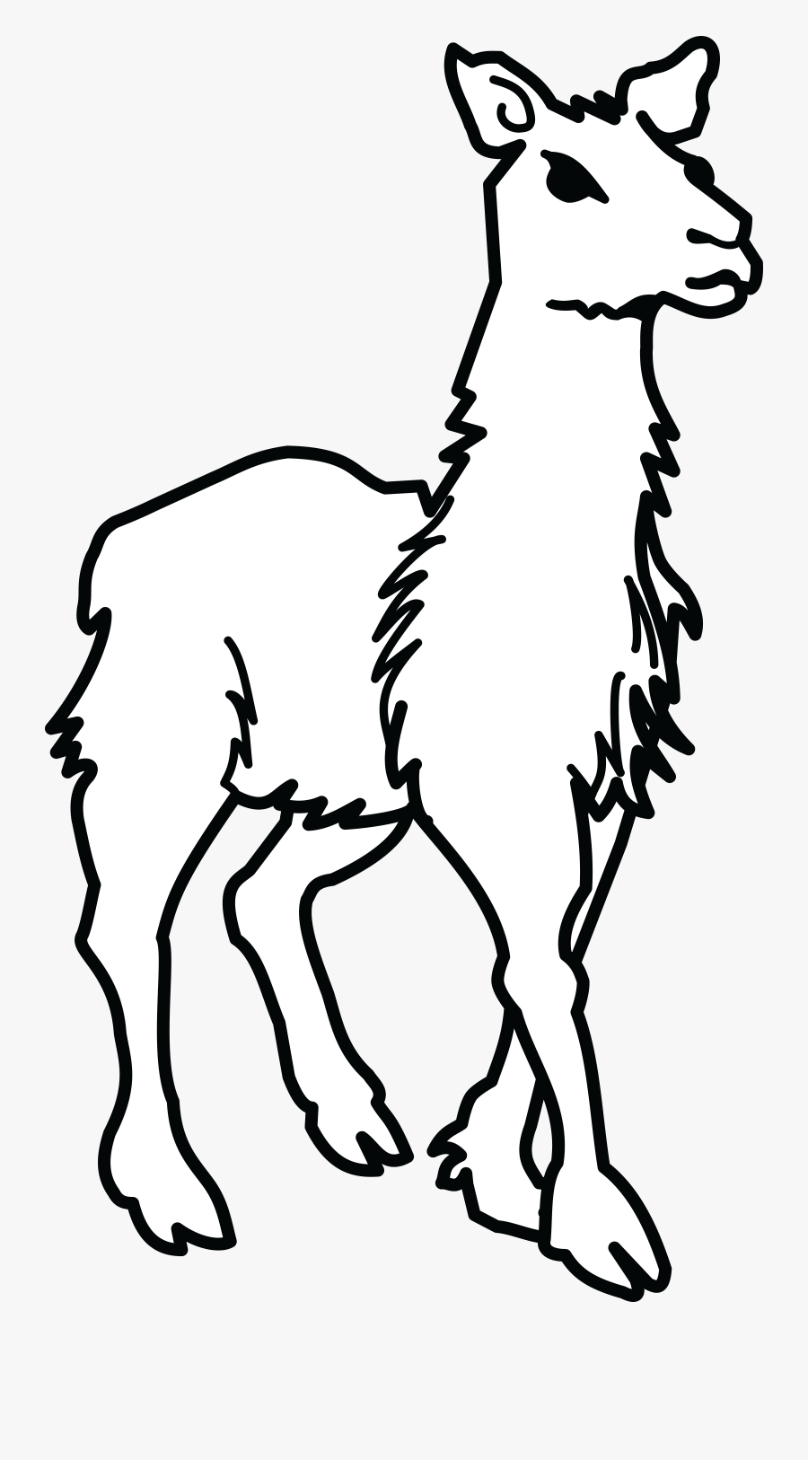 Clipart Llama Lineart - Drawing Of Llamas And Alpacas, Transparent Clipart