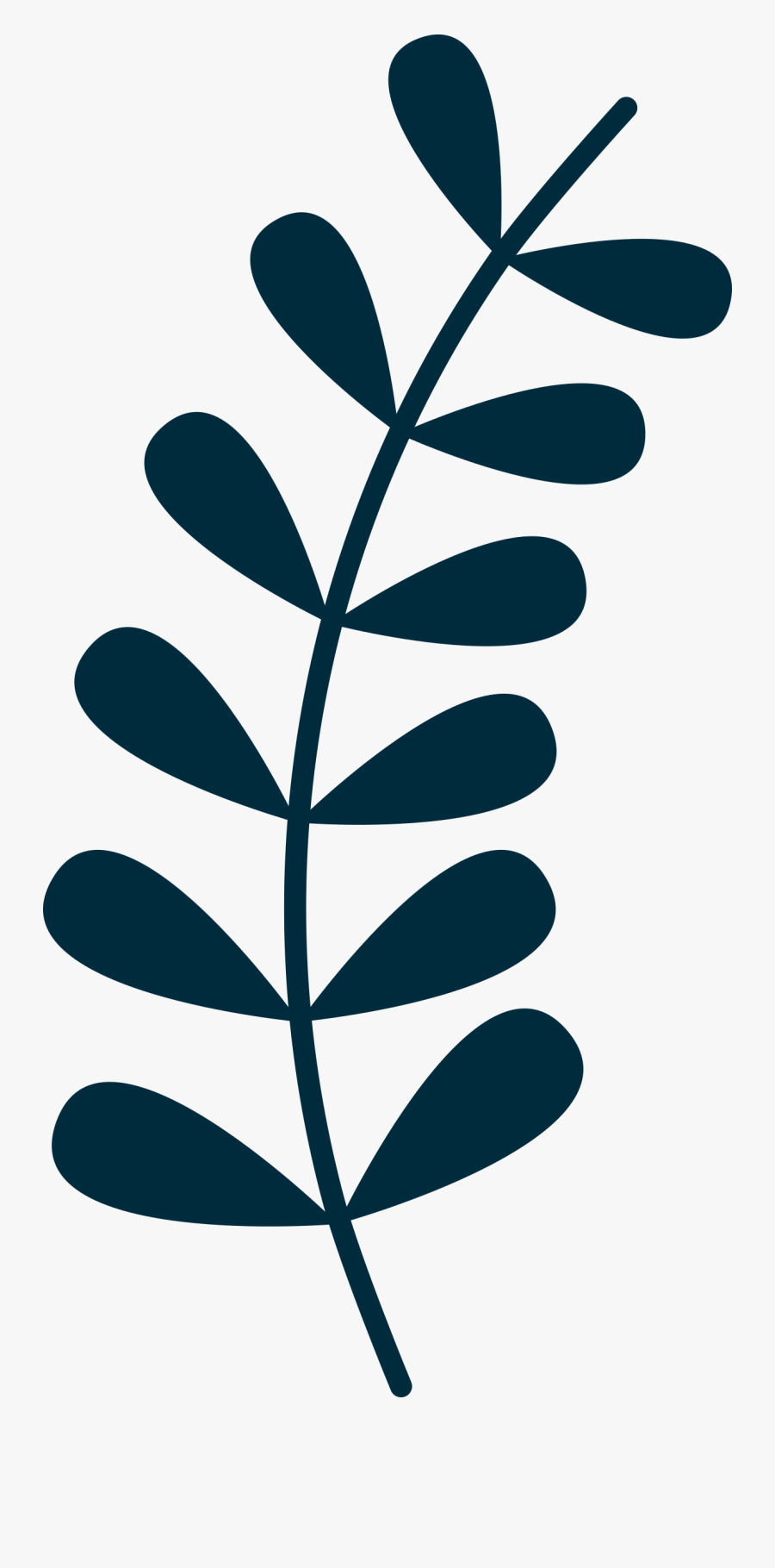 Vine Big Image Png - Simple Leaf Vine Drawing , Free Transparent