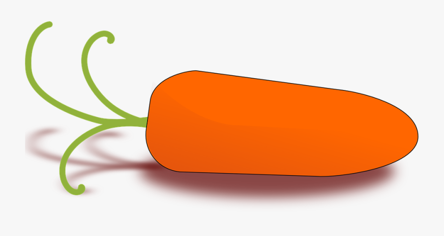 Carrot Clipart Orange Color - Carrot Clip Art, Transparent Clipart