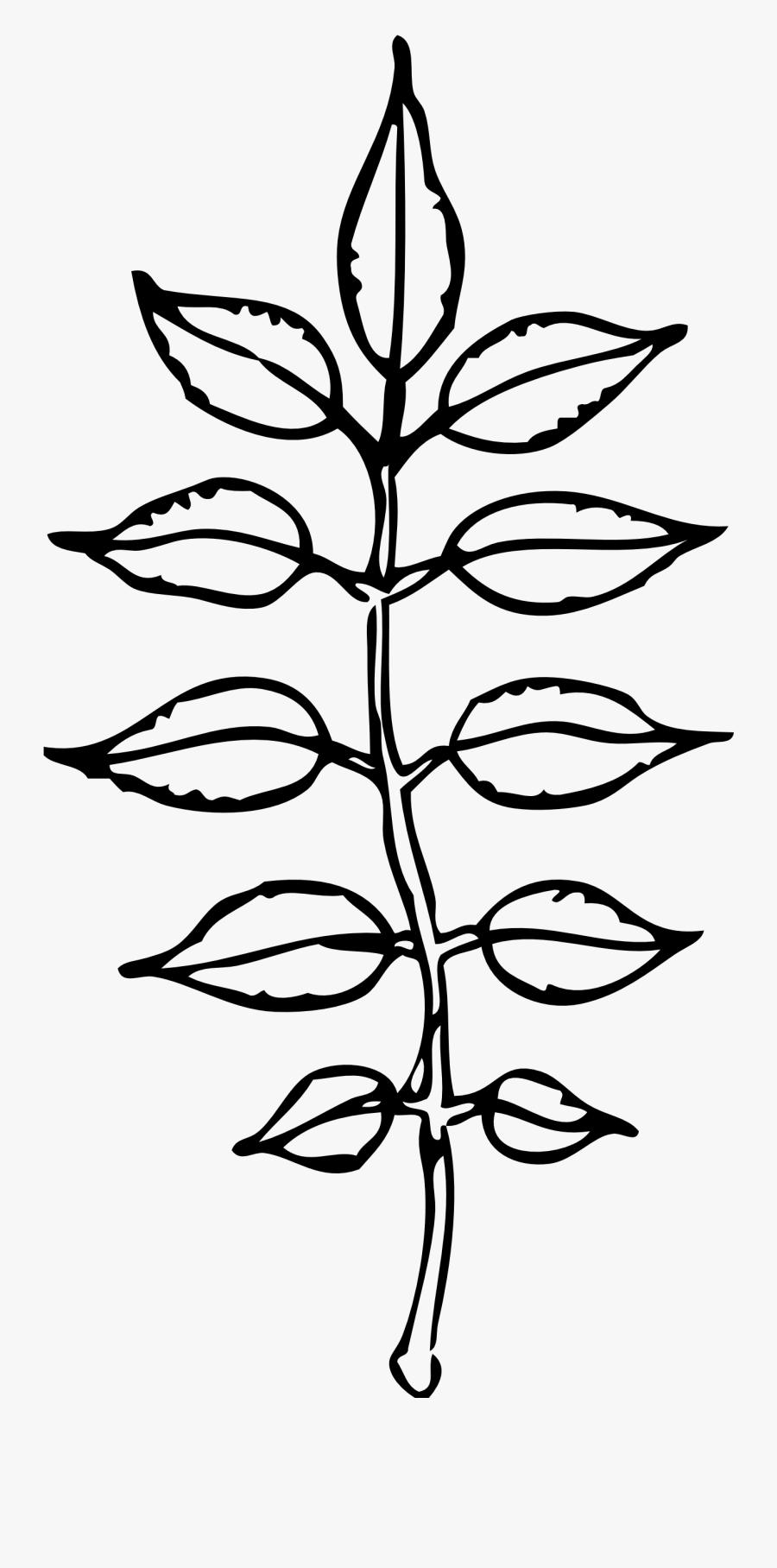 Leaf Black And White Leaves Black And White September - Leaves Black And White Clipart, Transparent Clipart