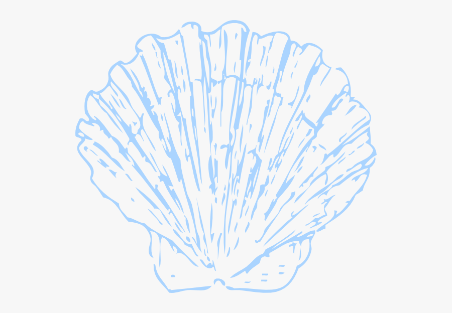Seashell, Transparent Clipart