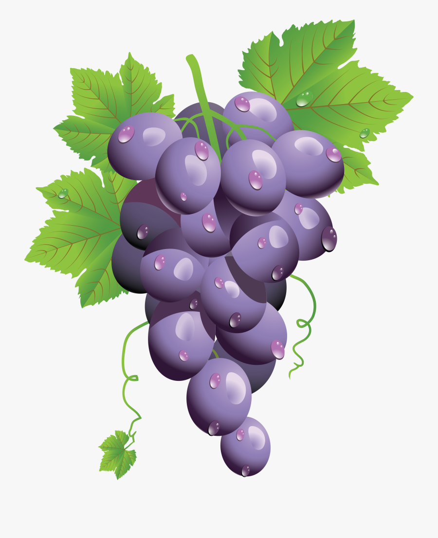 Animated Grapes Clipart The Cliparts - Unique Pods Grape Mango, Transparent Clipart