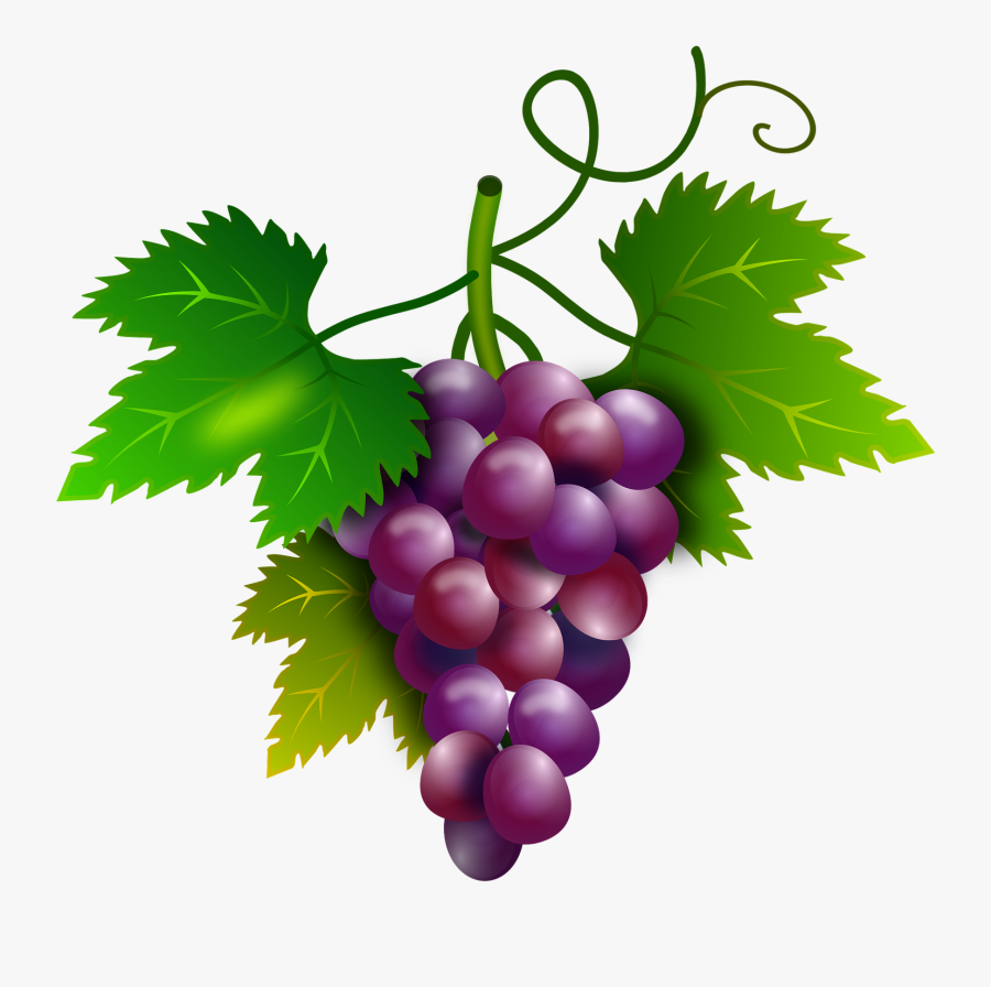 Grapes Clipart Purple Food - Cacho De Uvas Desenho, Transparent Clipart